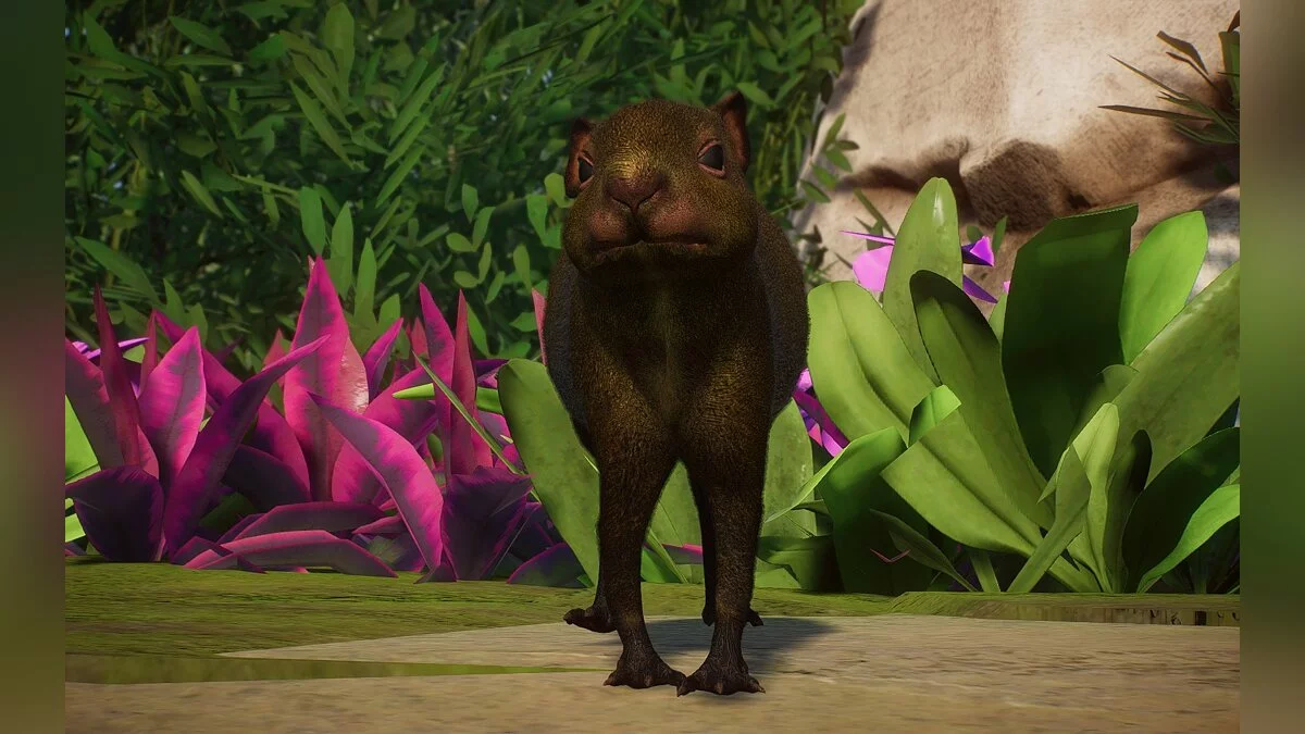 Planet Zoo — Новые виды - мексиканские агути