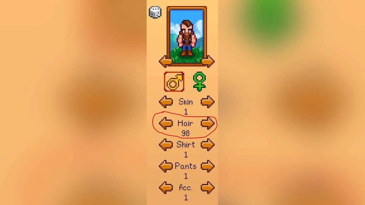 Stardew Valley — Пак бород и волос