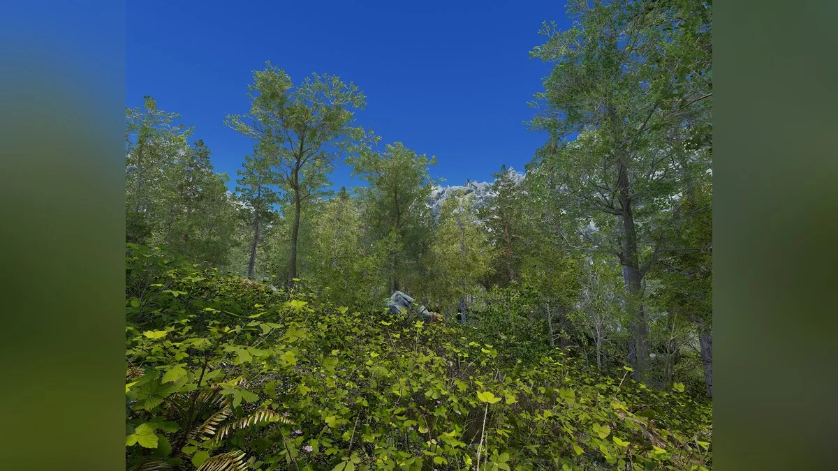 The Elder Scrolls 5: Skyrim Legendary Edition — Фотореалистичная трава со сложной геометрией