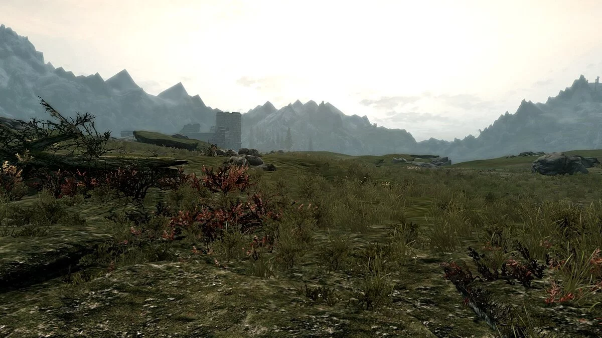 The Elder Scrolls 5: Skyrim Legendary Edition — Концепт-арт тундры