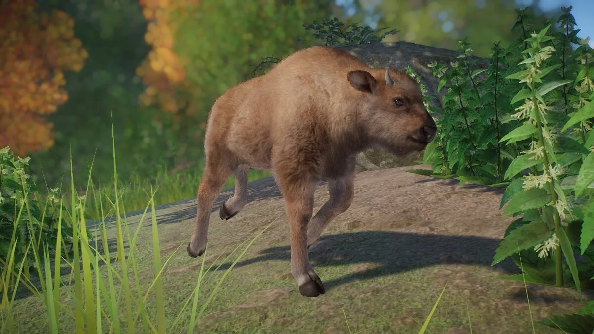 Planet Zoo — Зубр (европейский бизон) - новый вид