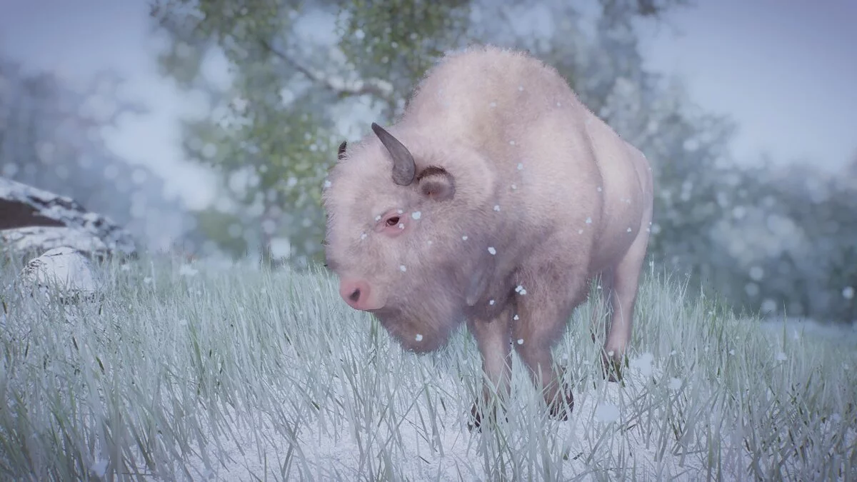 Planet Zoo — Зубр (европейский бизон) - новый вид