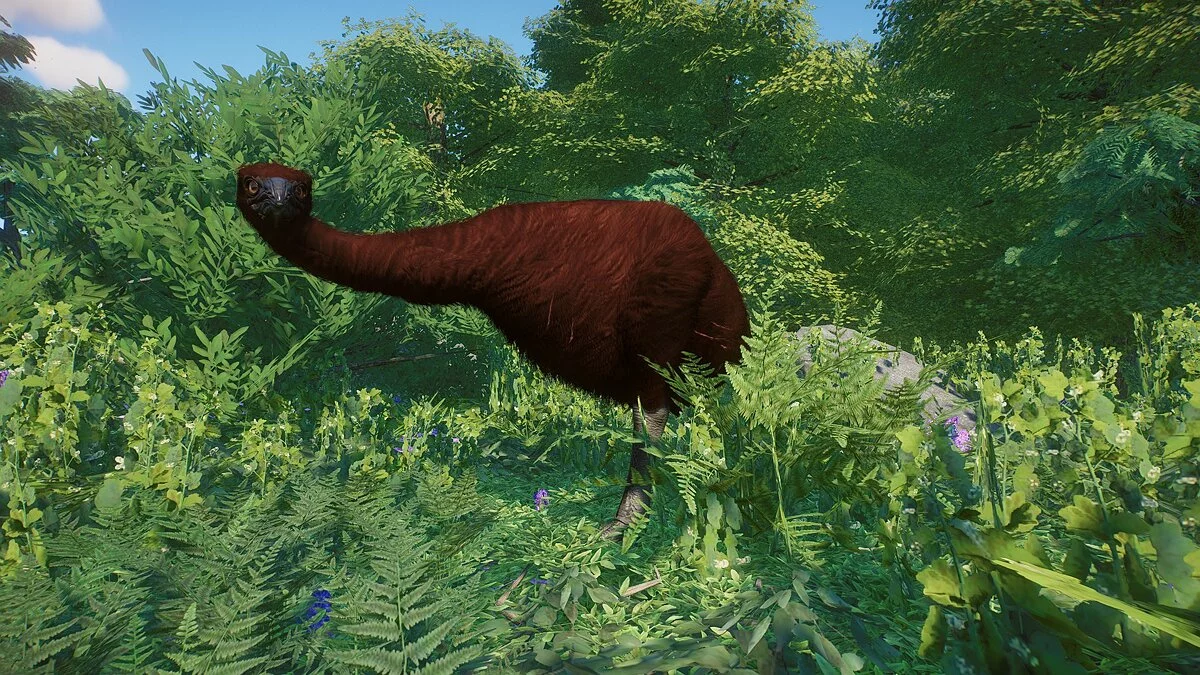 Planet Zoo — Гигантский моа южного острова — новый вид