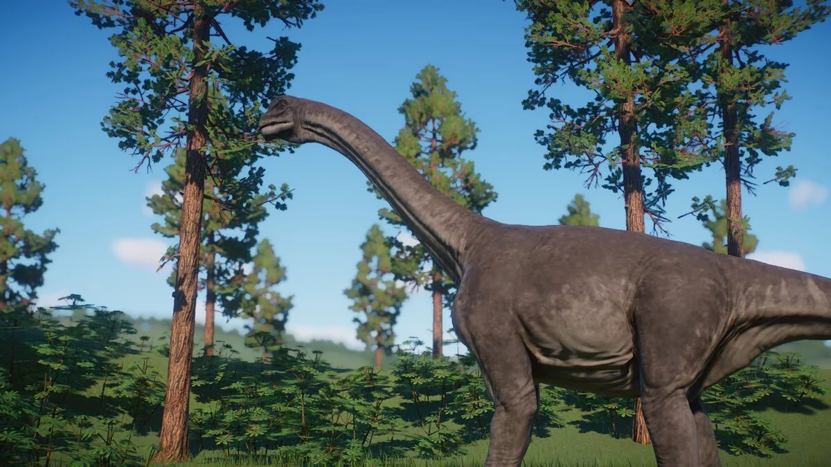 Planet Zoo — Новые виды - камаразавр