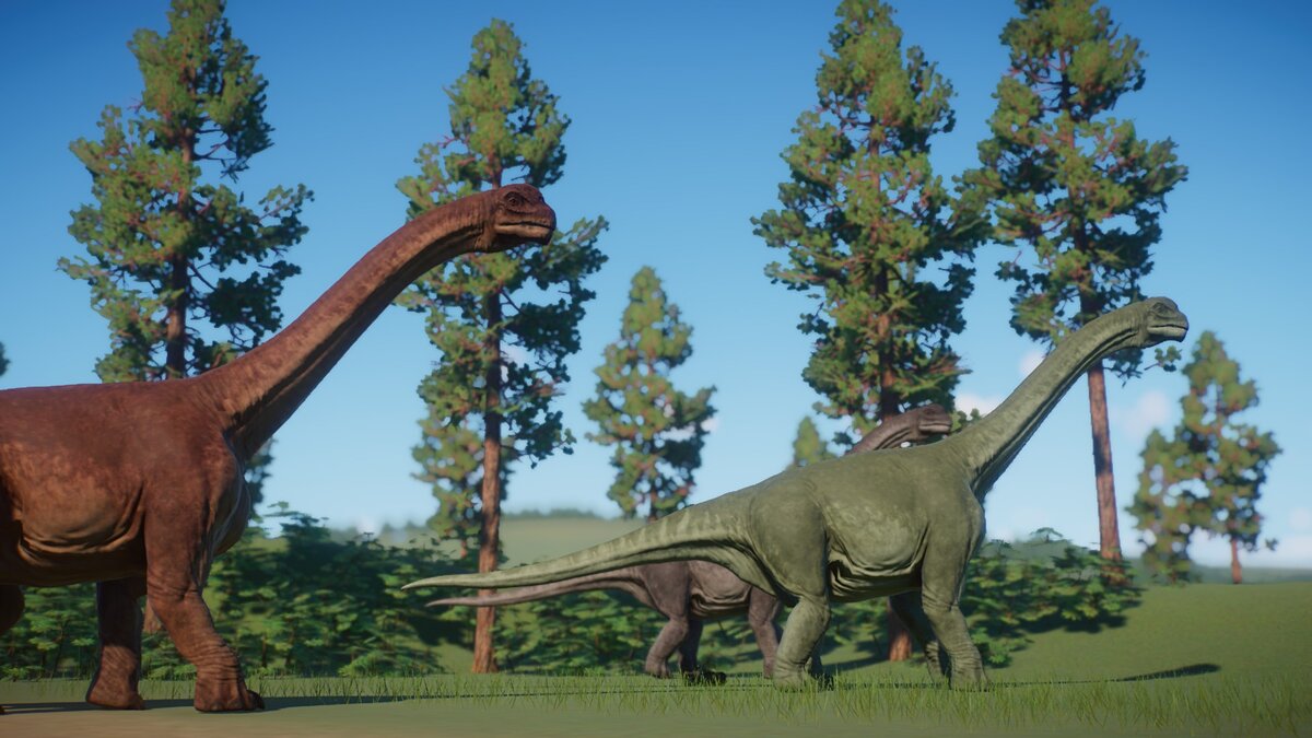Planet Zoo — Новые виды - камаразавр
