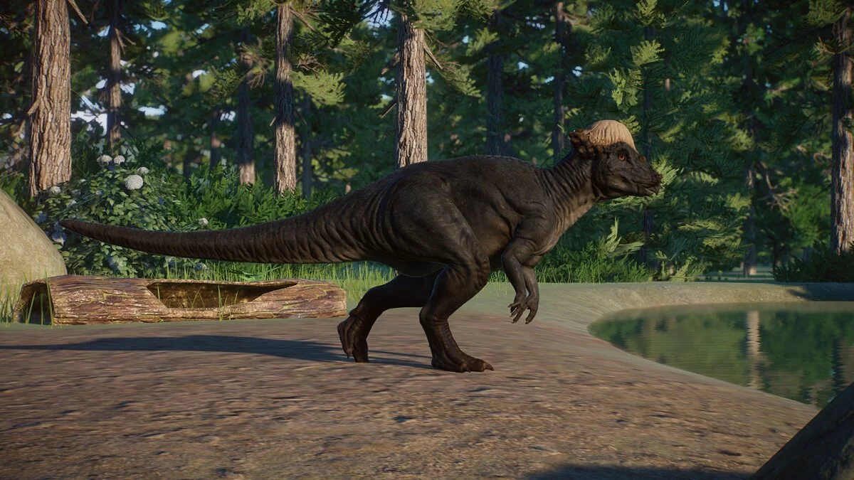 Planet Zoo — Новые виды — пахицефалозавры