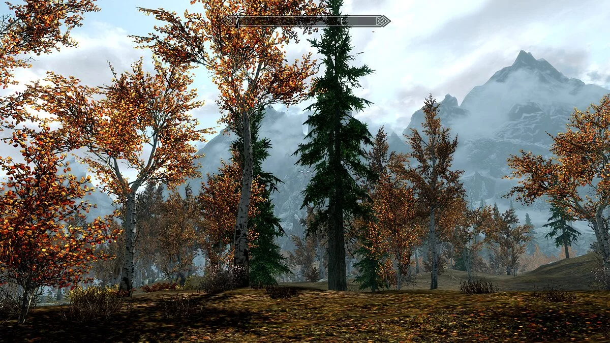 The Elder Scrolls 5: Skyrim Legendary Edition — Красочные текстуры