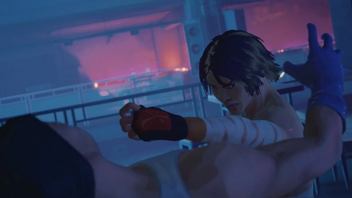 Sifu — Красивый боксер