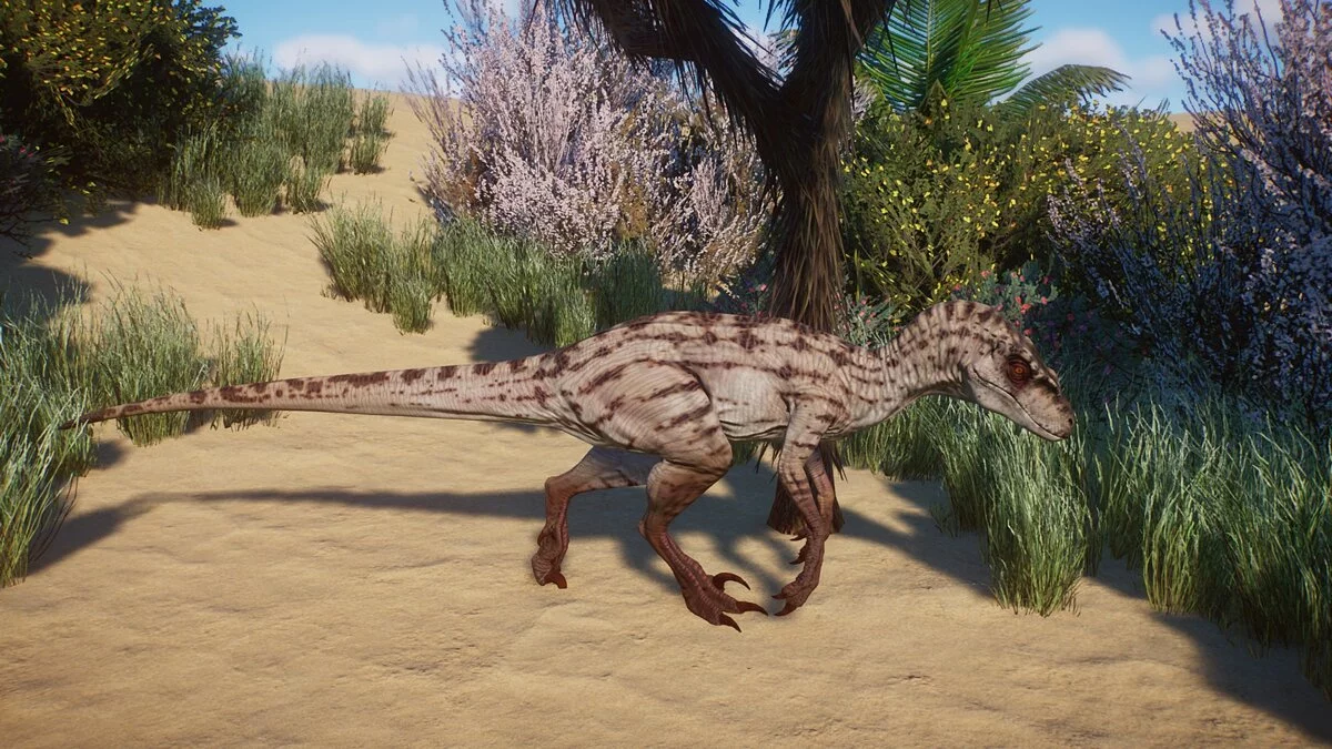 Planet Zoo — Новые виды - велоцираптор