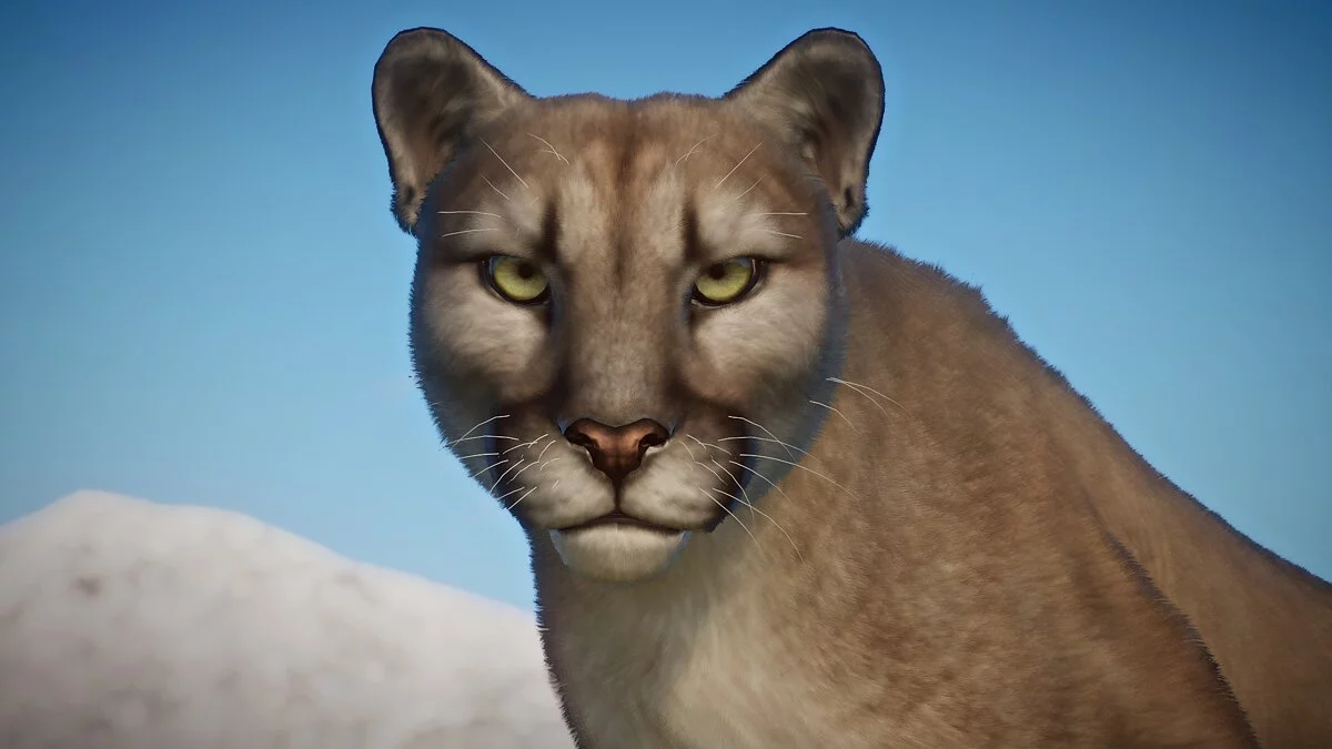 Planet Zoo — Реалистичная пума