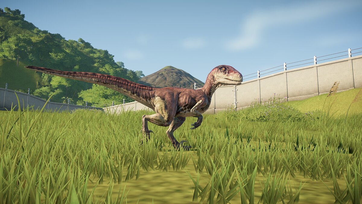 Открытый мир динозавр. Mackungasaurus Jurassic World Evolution. Динозавры реалистичные. Динозавры мир Юрского периода. Джурасик ворлд 2 Автор.