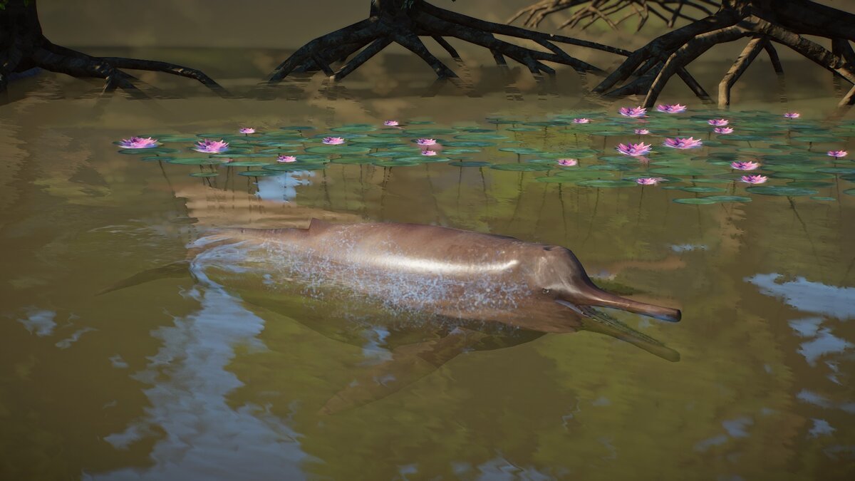 Planet Zoo — Дельфин реки Ганг (новый вид)
