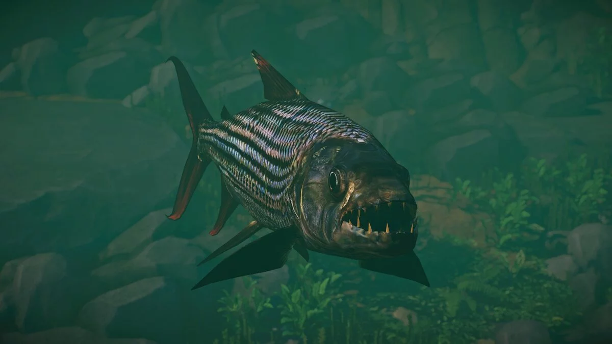 Planet Zoo — Новые виды — африканская тигровая рыба