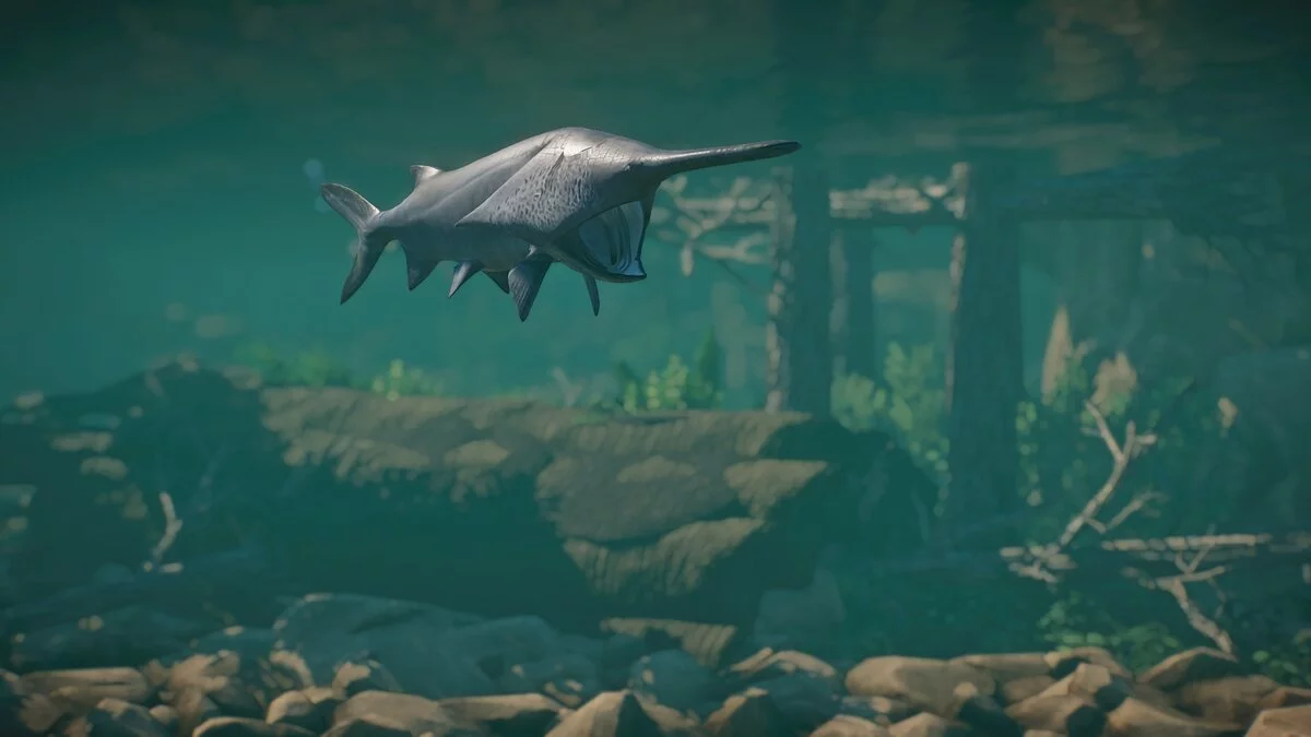 Planet Zoo — Американский веслонос - новые виды