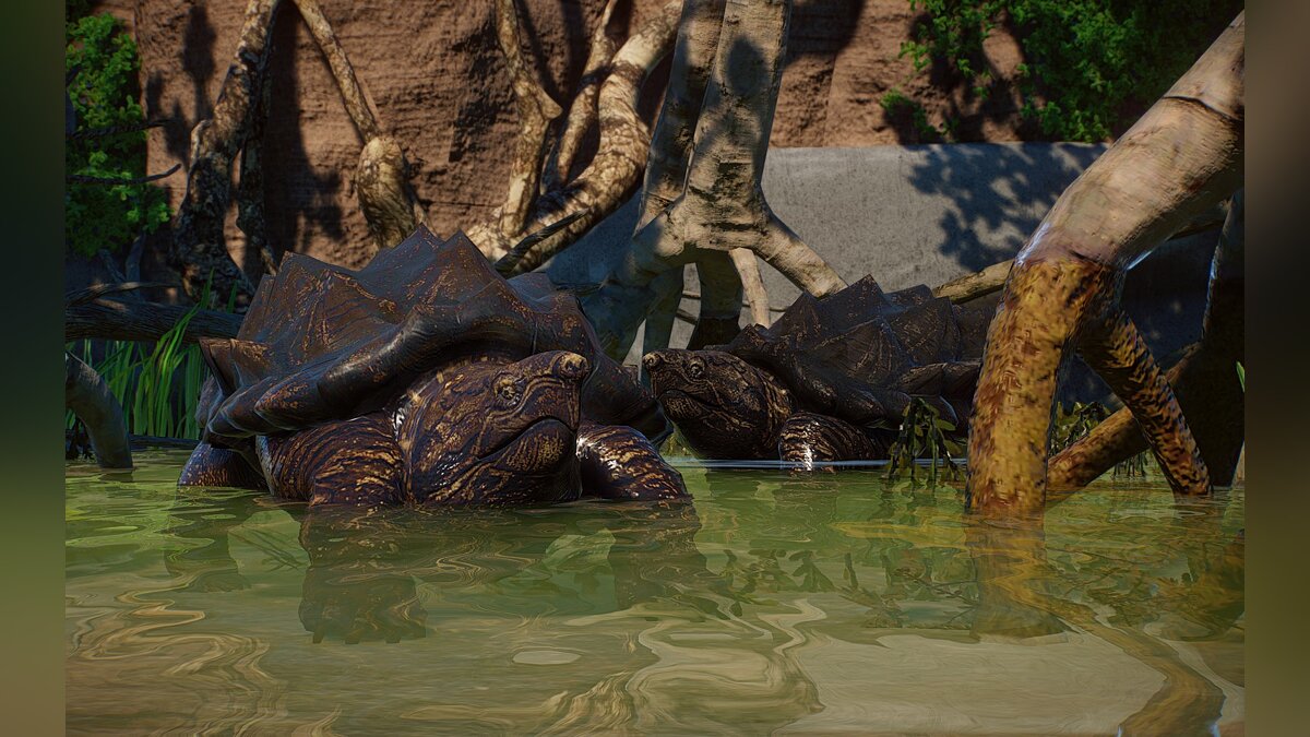 Planet Zoo — Новые виды — черепаха-аллигатор