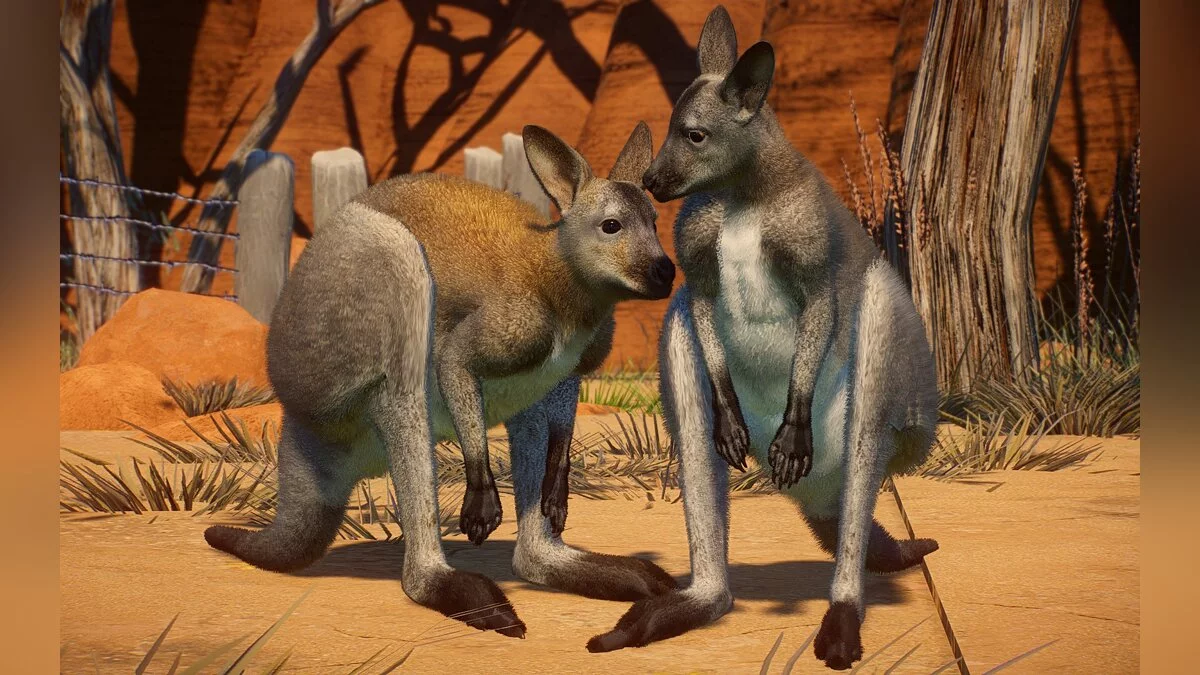 Planet Zoo — Новые виды — валлаби Беннета