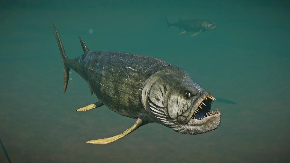 Planet Zoo — Новые виды - ксифактин