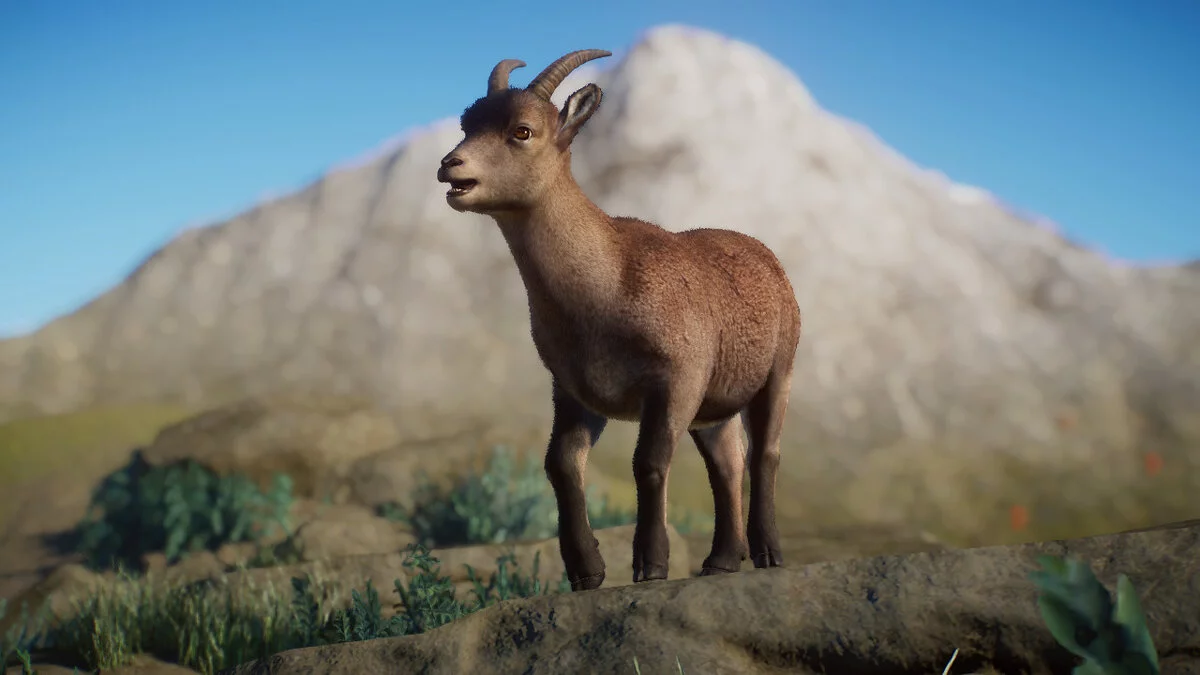Planet Zoo — Испанский (или иберийский) козерог - новый вид