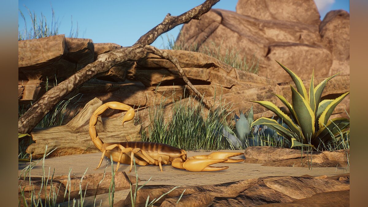 Planet Zoo — Новые виды - Гигантский волосатый скорпион пустыни 