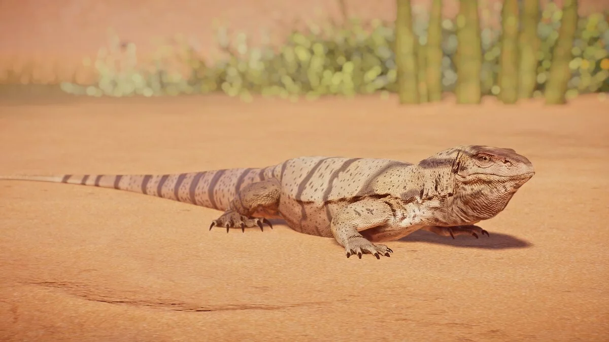 Planet Zoo — Пустынный варан — новые виды