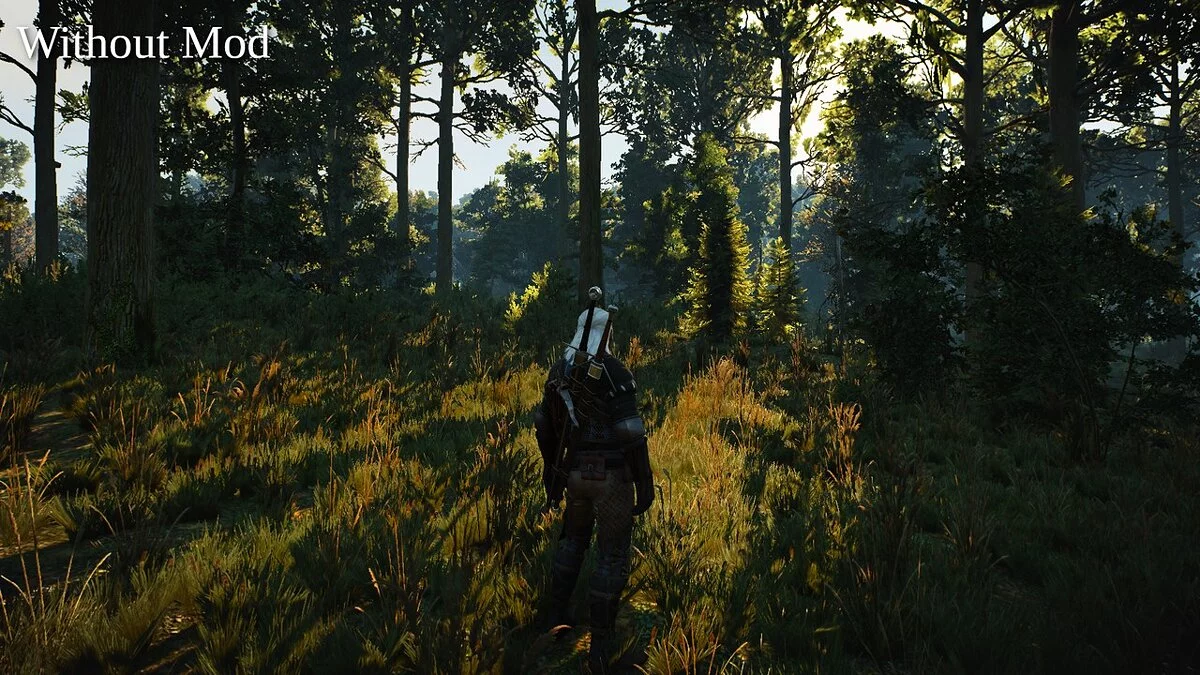 The Witcher 3: Wild Hunt - Complete Edition — Современный рендеринг