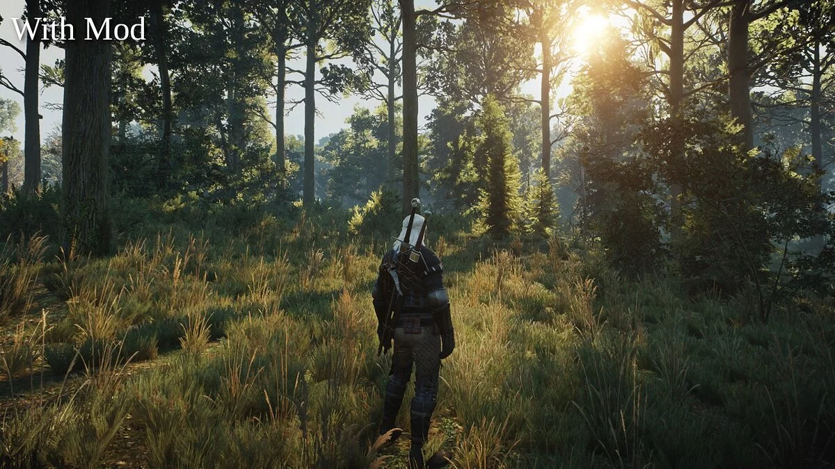 The Witcher 3: Wild Hunt - Complete Edition — Современный рендеринг