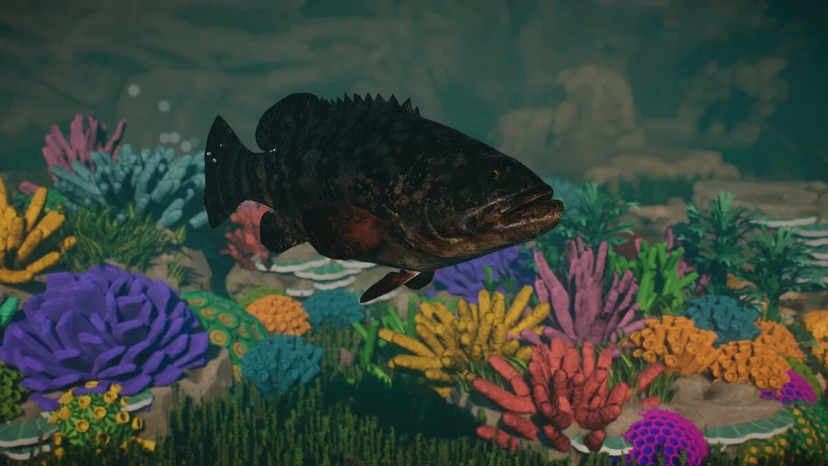 Planet Zoo — Новый вид – атлантический морской окунь-голиаф