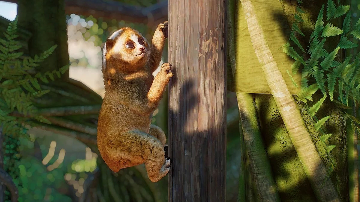 Planet Zoo — Зондский медленный лори — новые виды