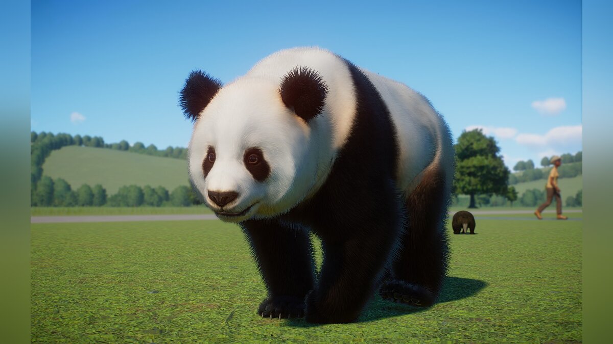 Planet Zoo — Новые виды - Циньлинская панда