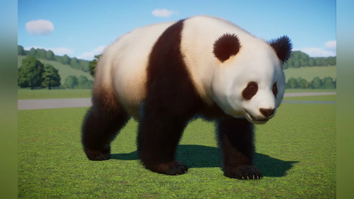 Planet Zoo — Новые виды - Циньлинская панда