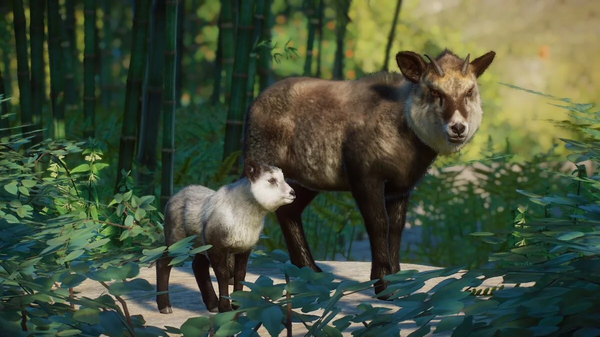 Planet Zoo — Японский сероу - новые виды