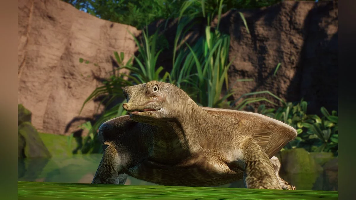 Planet Zoo — Новые виды - китайская мягкотелая черепаха