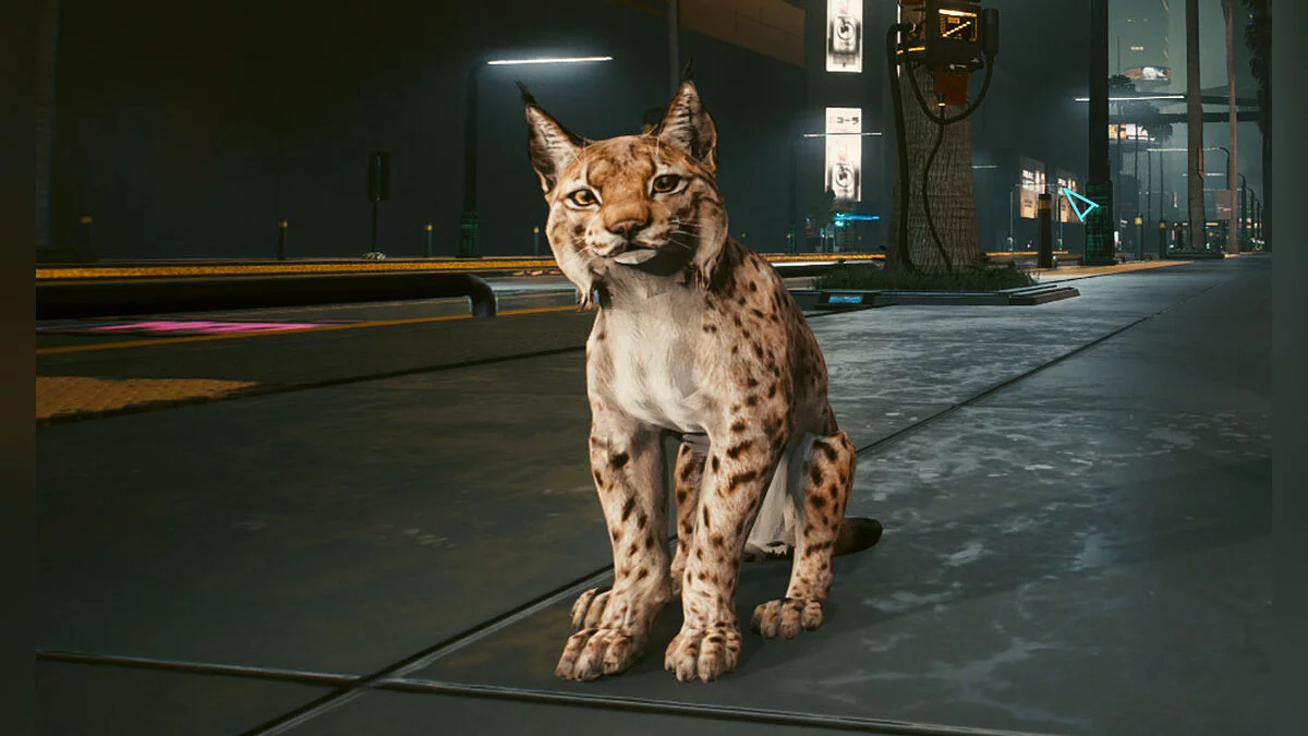 Cyberpunk 2077 — Питомец - рысь