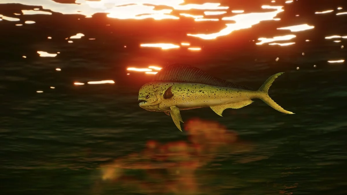 Planet Zoo — Новые виды - Махи-Махи