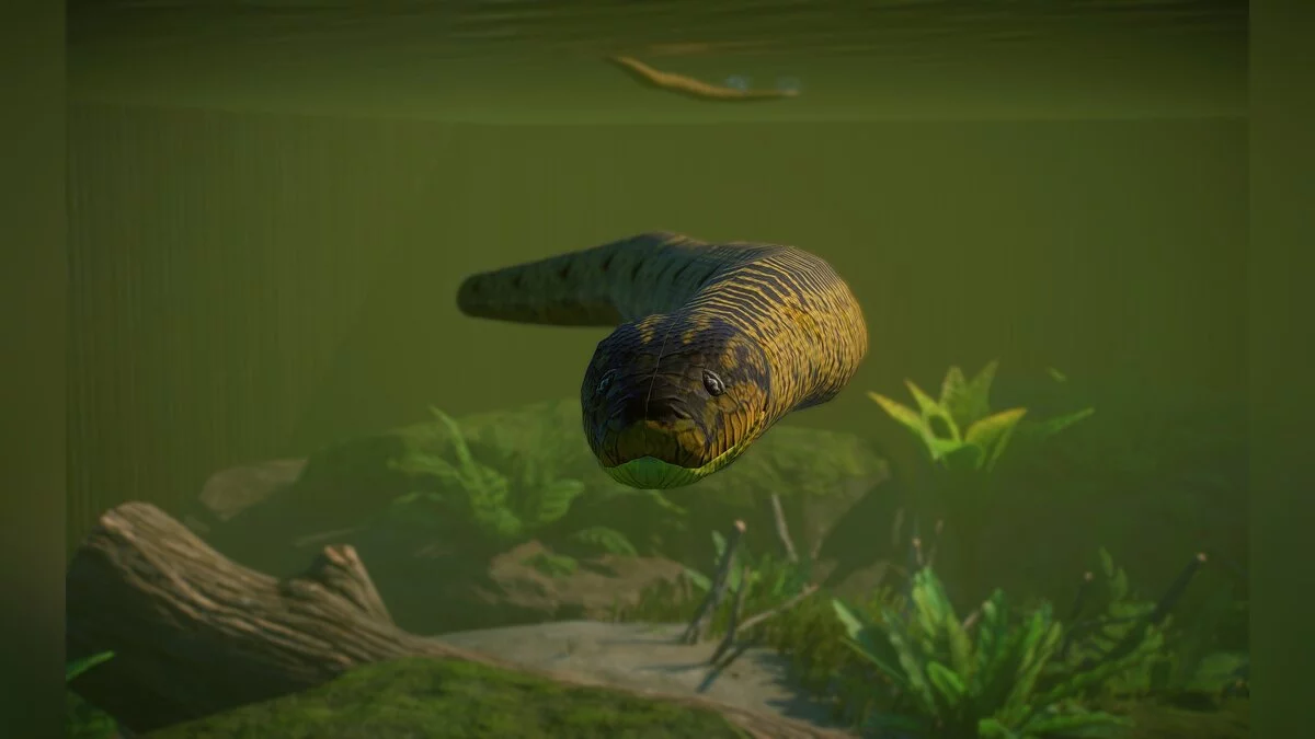 Planet Zoo — Новые виды - желтая анаконда