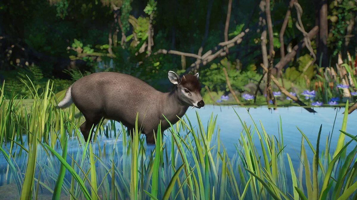 Planet Zoo — Хохлатый олень — новые виды