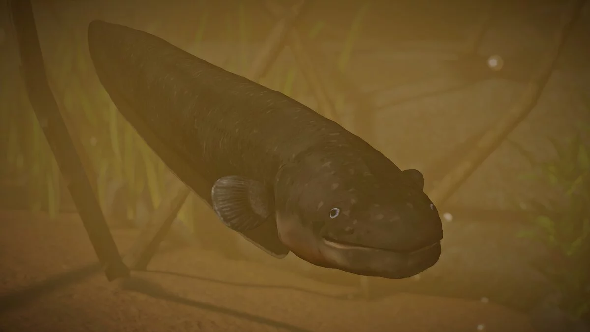 Planet Zoo — Новые виды — электрический угорь