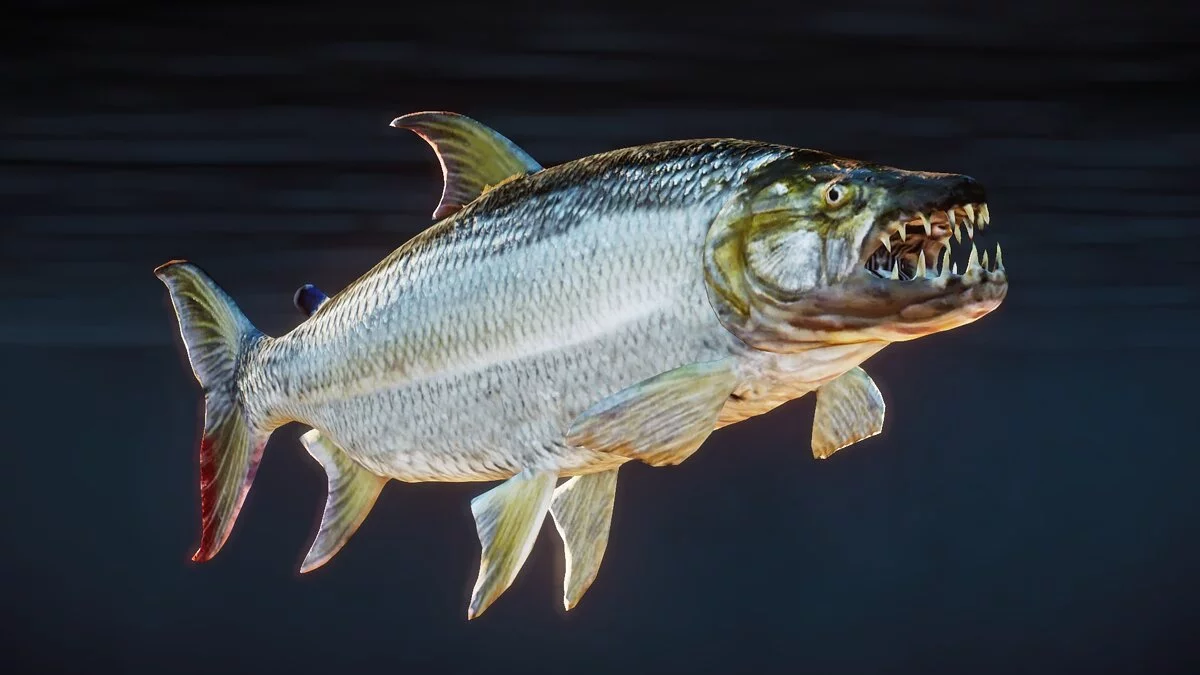 Planet Zoo — Новые виды — тигровая рыба-голиаф