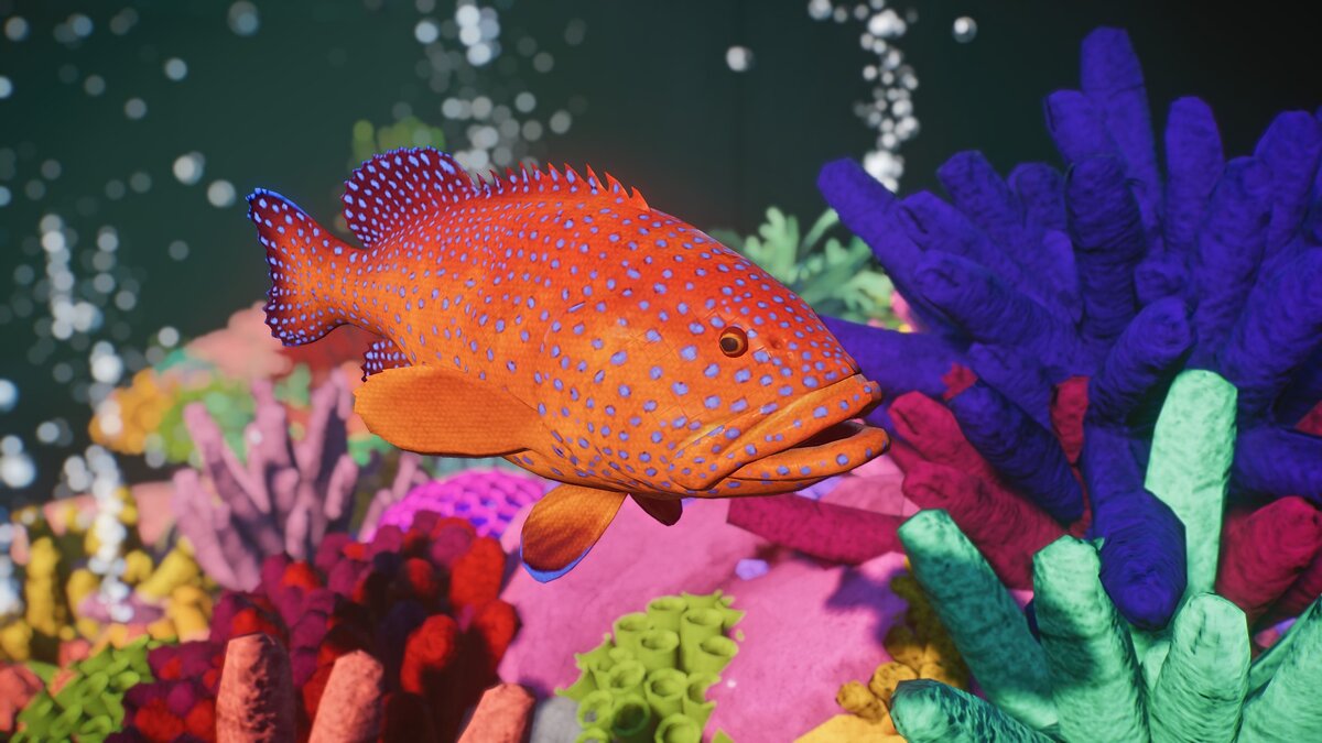 Planet Zoo — Новые виды — коралловый групер