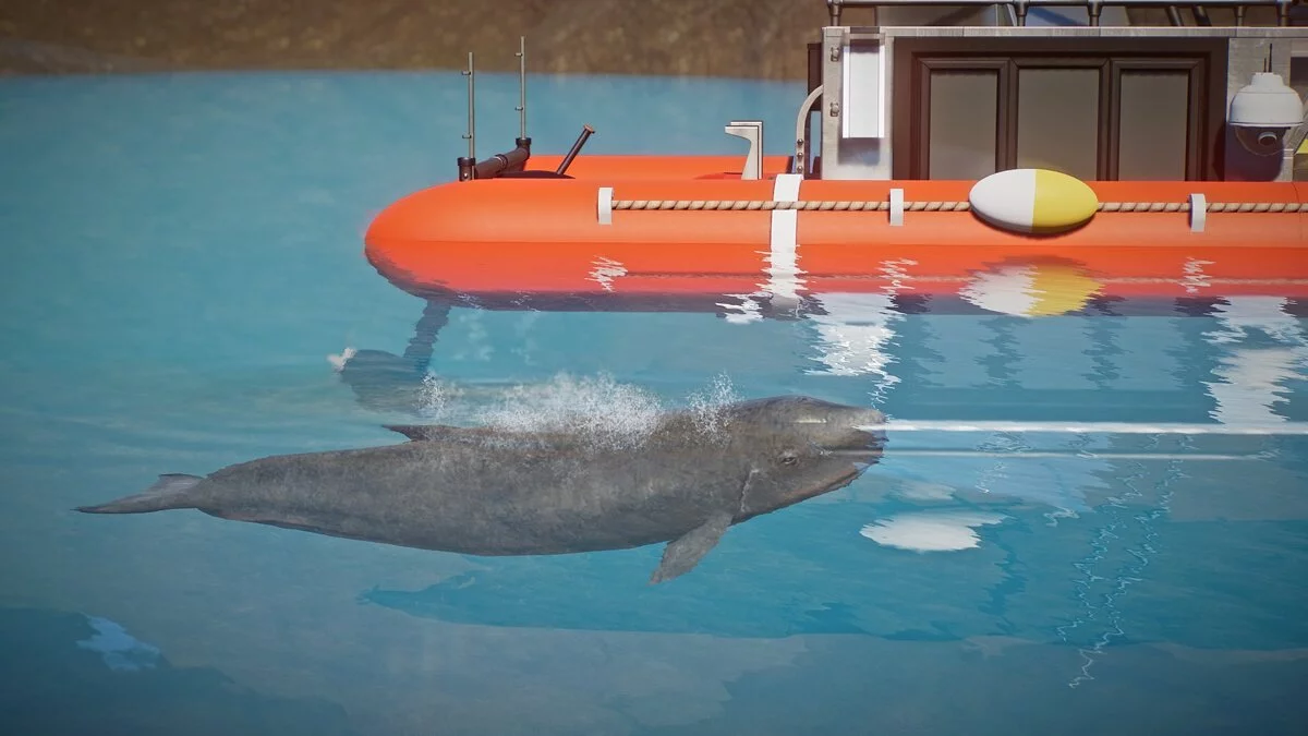 Planet Zoo — Новые виды - карликовый кашалот