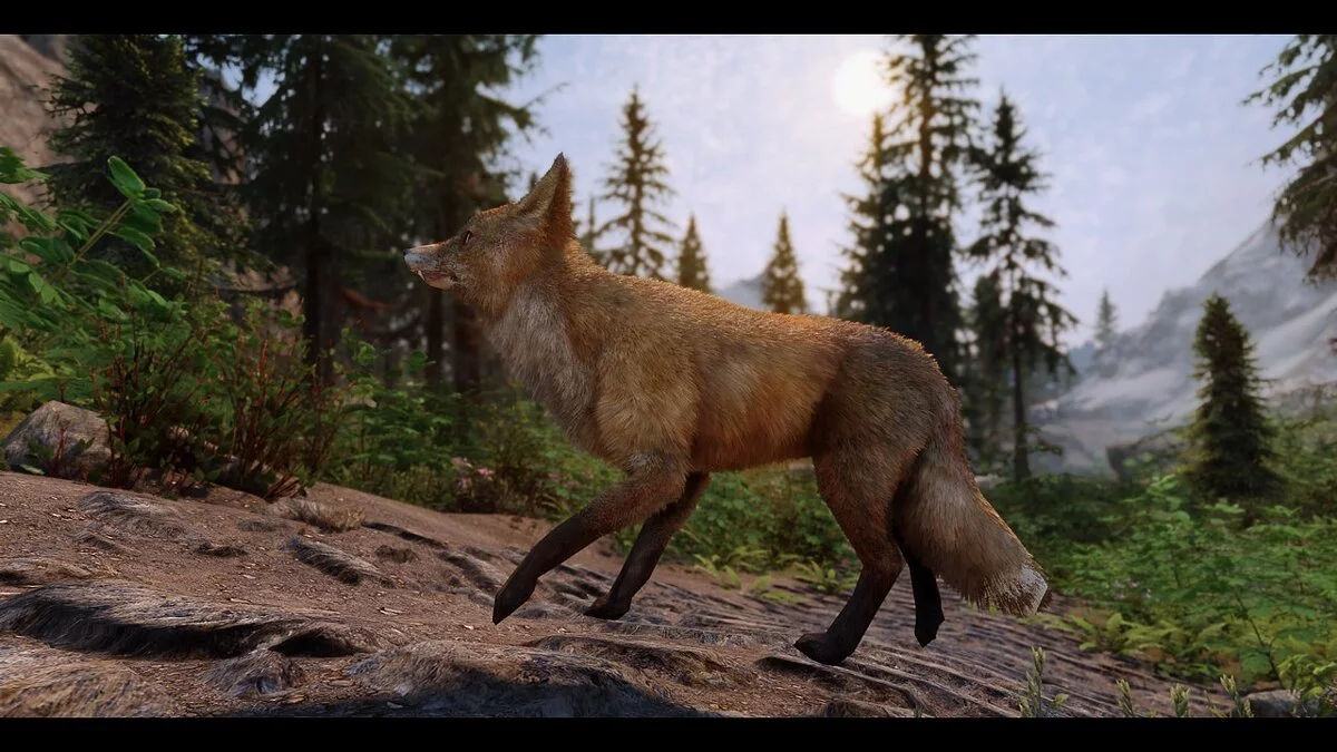 Elder Scrolls 5: Skyrim Special Edition — Фотореалистичные лисы