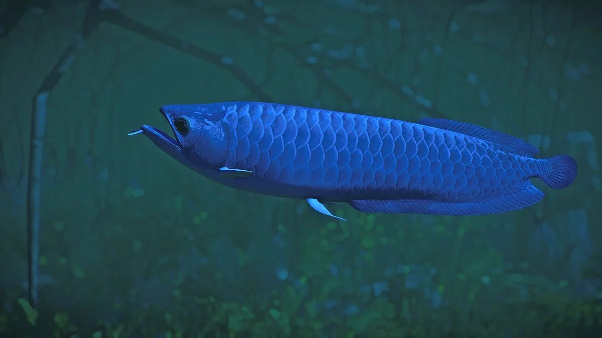 Planet Zoo — Новые виды - серебряная арована