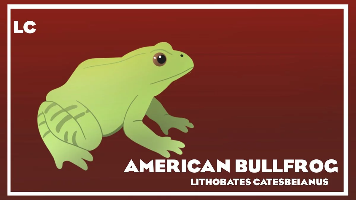 Planet Zoo — Рекламные щиты с животными Северной Америки