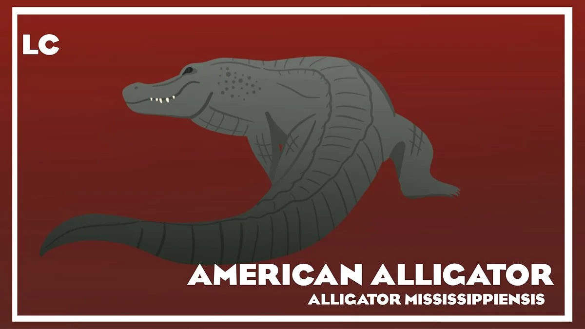 Planet Zoo — Рекламные щиты с животными Северной Америки