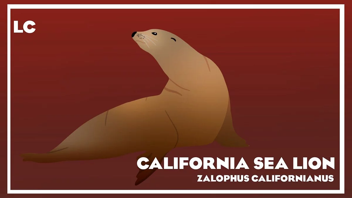 Planet Zoo — Рекламные щиты с животными Северной Америки