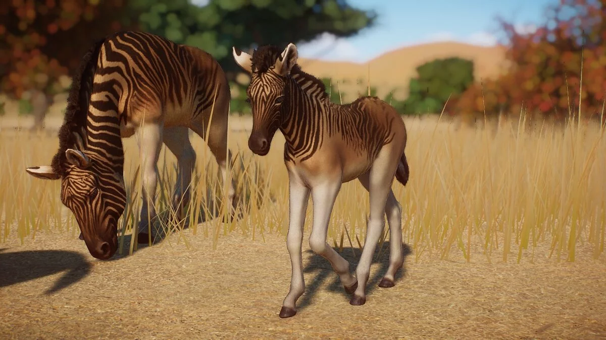 Planet Zoo — Квагга — новые виды