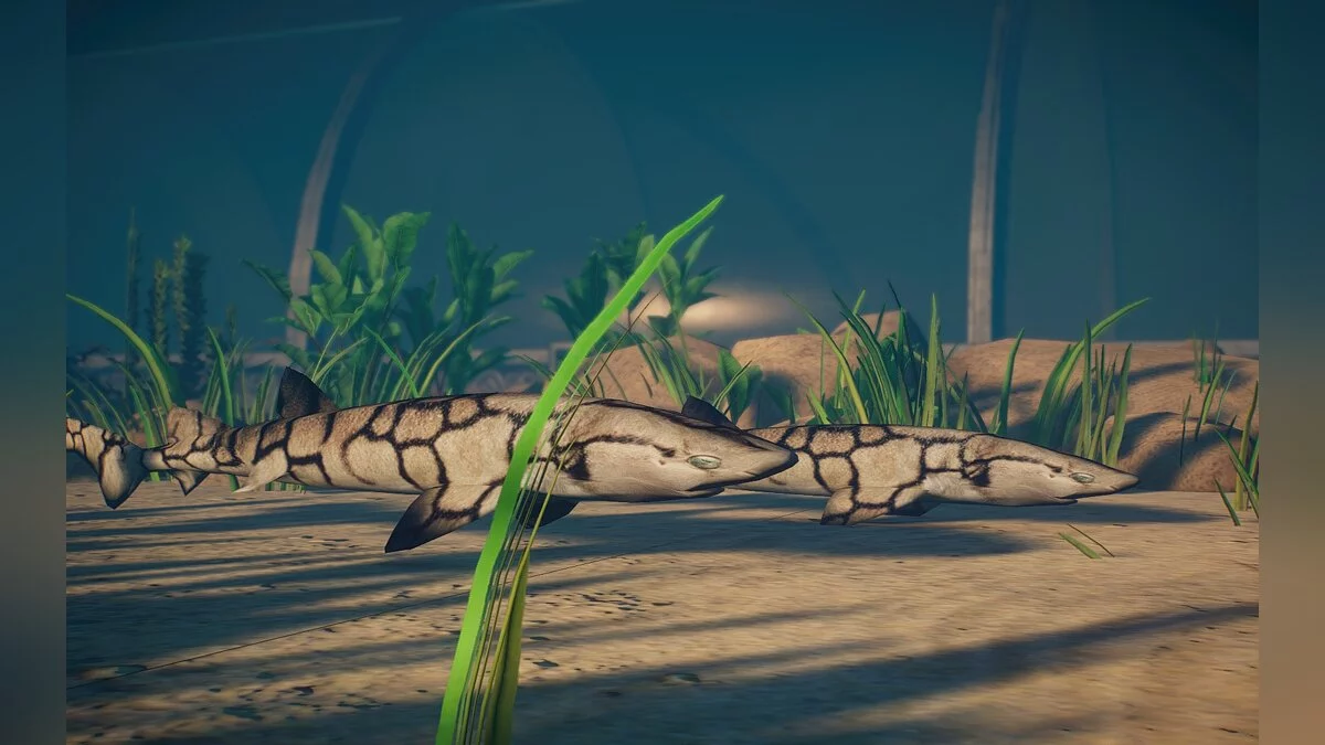 Planet Zoo — Новые виды - цепная кошачья акула