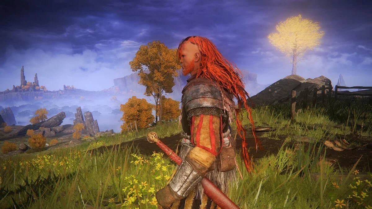Elden Ring — Прическа Радагона