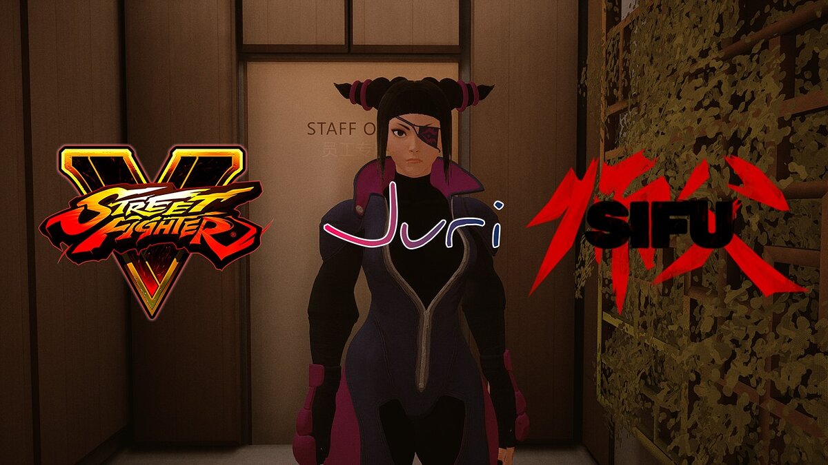 Sifu — Джури из игры Street Fighter 5