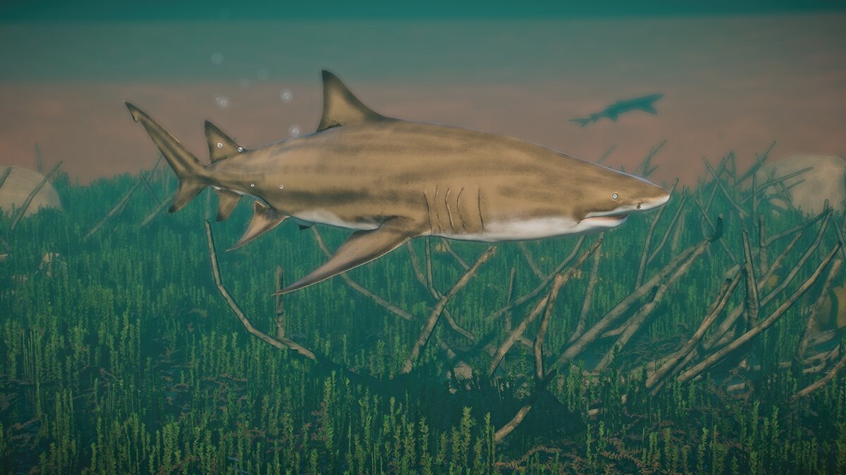 Planet Zoo — Новые виды - лимонная акула